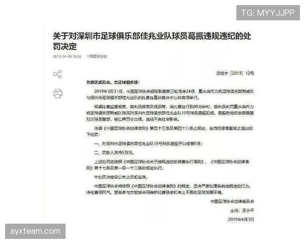 严重犯规的裁判判罚标准与场上执行细节解析